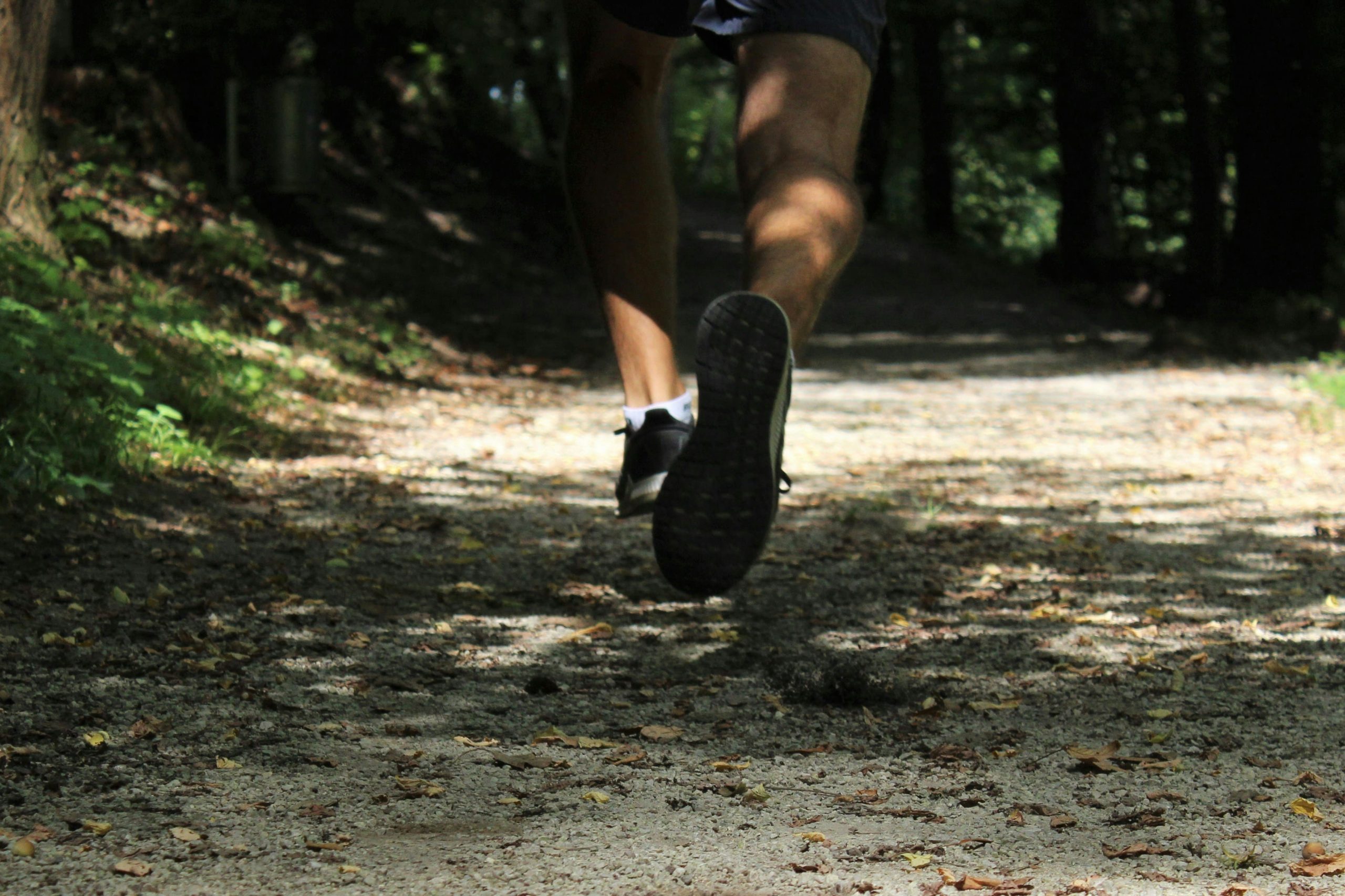 Corridore tra i sentieri del bosco di Rauccio